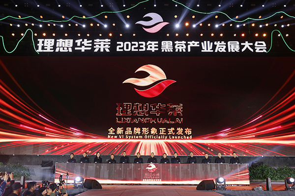 點亮新LOGO.jpg