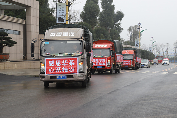 湖南华莱 爱心助力安化果农