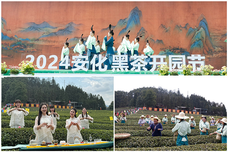 拼圖.jpg