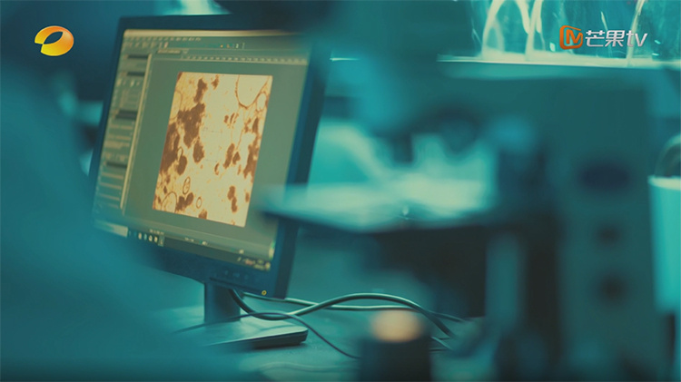 20250321171571.jpg 第四集-花絮.jpg