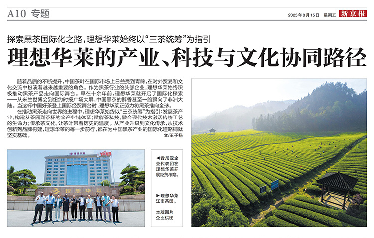 新京报丨探索黑茶国际化之路，理想华莱的产业、科技与文化协同路径