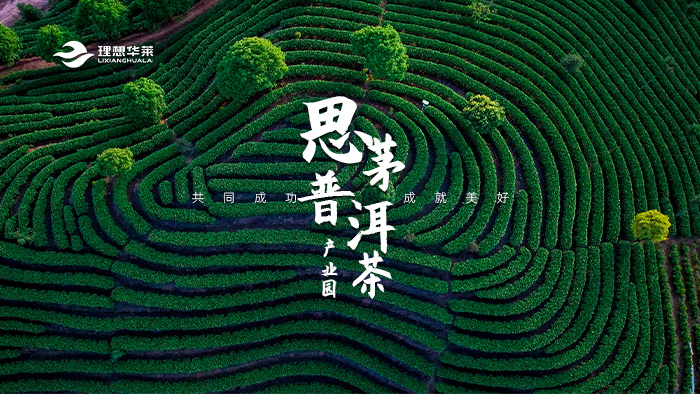 思茅普洱茶产业园