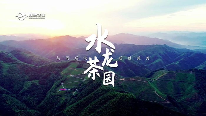 水龙茶园