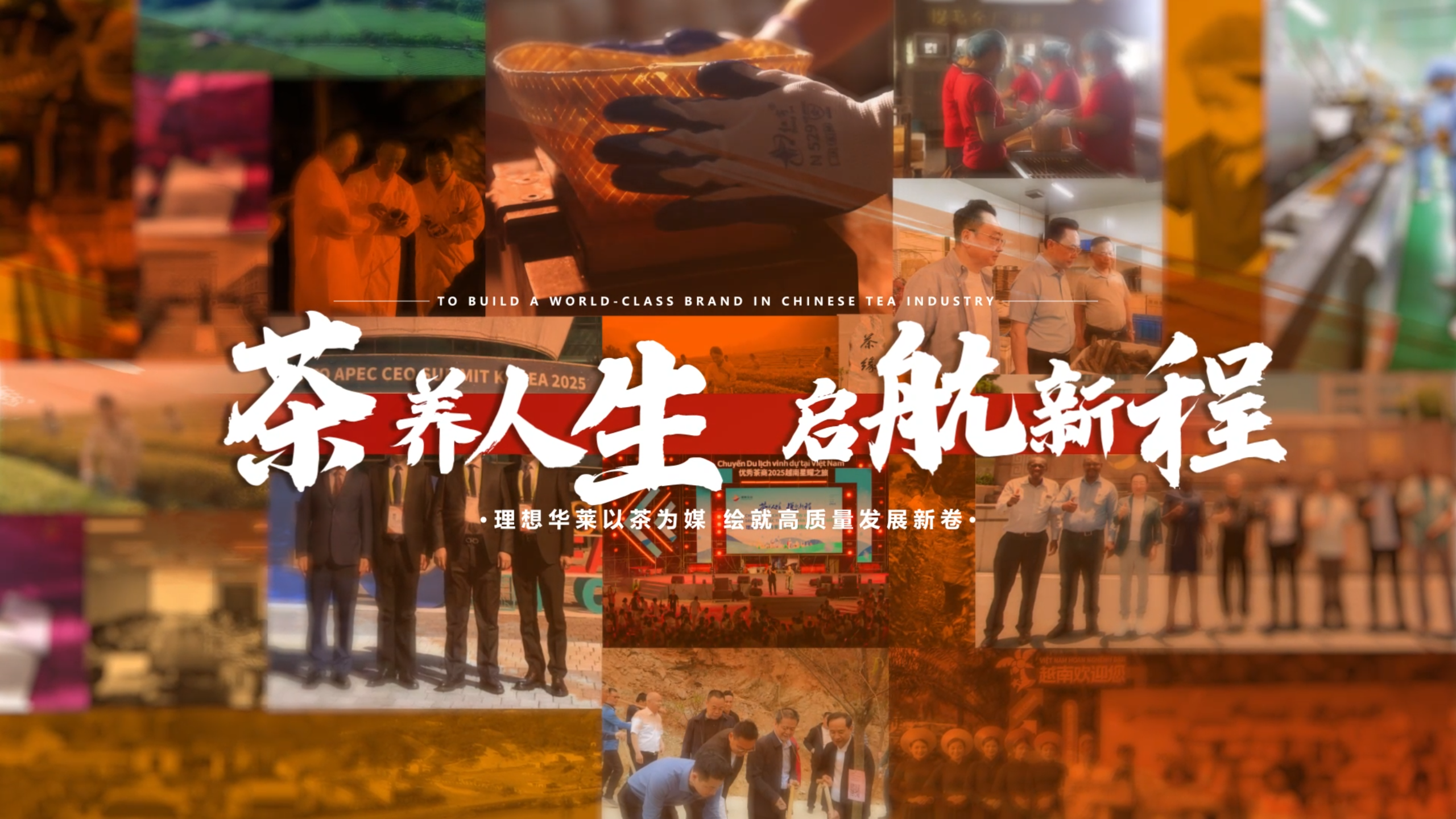 茶养人生 启航新程 理想华莱2025年度盘点