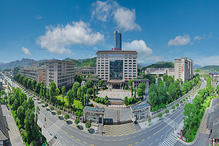筑强科创平台 赋能黑茶振兴  理想华莱五大科研平台驱动产业高质量发展