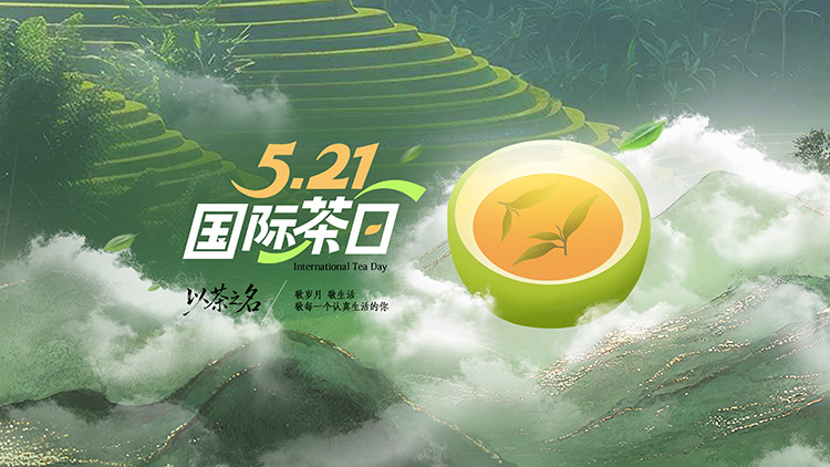 5.21国际茶日｜以茶之名，敬每一个认真生活的你